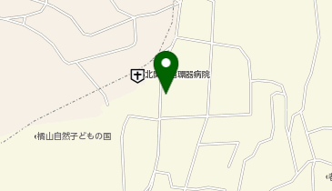 アイランド薬局 田口町店の地図画像