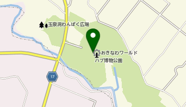 株式会社コスミック 玉泉洞店の地図画像