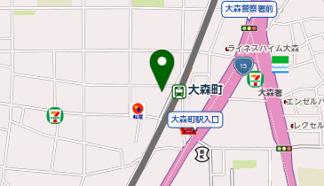 ナンカ堂大森町店の地図画像