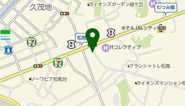 新垣瓦工場 国際通り 松尾店の地図画像