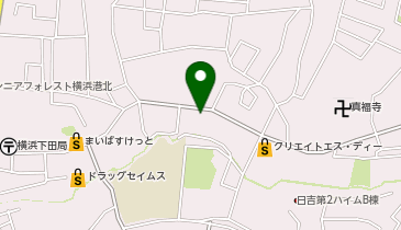 Vietnam Restaurant PaPa(ベトナムレストランパパ)の地図画像