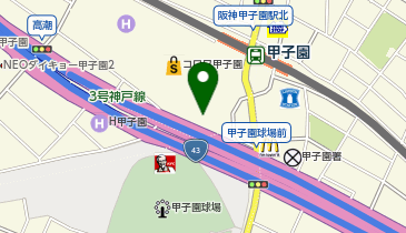 タイガースチームショップアルプスの地図画像