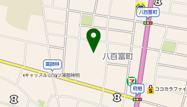 ホームドライ サンヨネ蒲郡店の地図画像