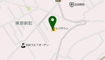 パレットプラザ 沼田ビバタウン店の地図画像