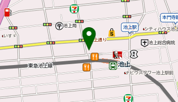 パレットプラザ 池上店の地図画像