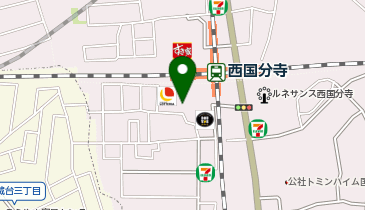 パレットプラザ 西国分寺駅前店の地図画像