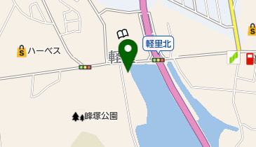 Patisserie FLOUR(パティスリー フラワー) 竹内街道軽里店の地図画像