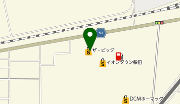 ザ・ビッグ 柴田店の地図画像