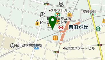 自由が丘ロジエクリニック 皮膚科 周辺の映像 音楽 書籍 レンタル Navitime