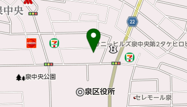 Snow Peak Store(スノー ピーク ストア) WILD-1仙台泉店の地図画像