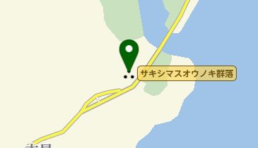 サキシマスオウノキ群落の地図画像