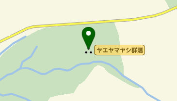 ヤエヤマヤシ群落の地図画像