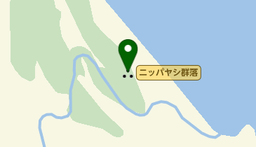 ニッパヤシ群落の地図画像