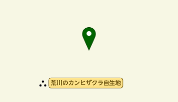 荒川のカンヒザクラ自生地の地図画像