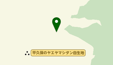 平久保のヤエヤマシタン自生地の地図画像