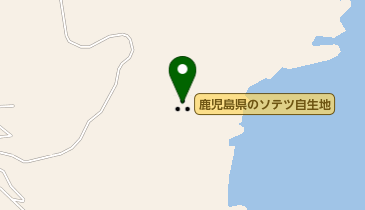 鹿児島県のソテツ自生地の地図画像