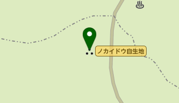 ノカイドウ自生地の地図画像