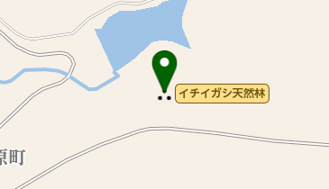 イチイガシ天然林の地図画像