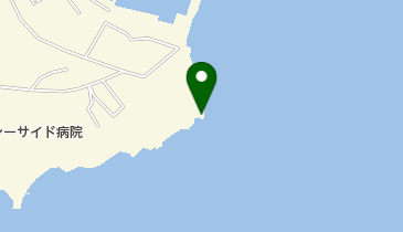 丸尾崎の地図画像