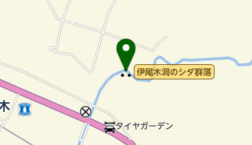 伊尾木洞のシダ群落の地図画像