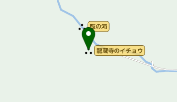 龍蔵寺のイチョウの地図画像