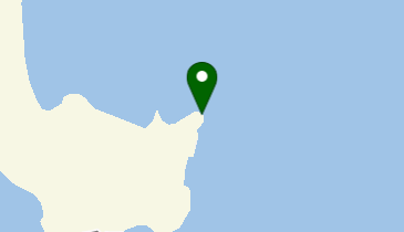大入崎の地図画像