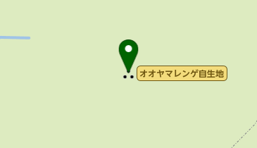 オオヤマレンゲ自生地の地図画像