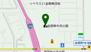 金剛東中央公園の地図画像