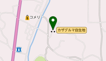 カザグルマ自生地の地図画像