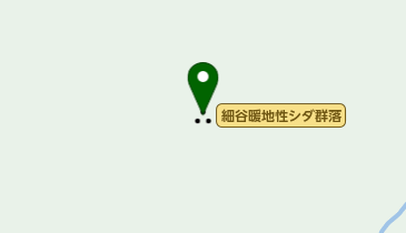 細谷暖地性シダ群落の地図画像