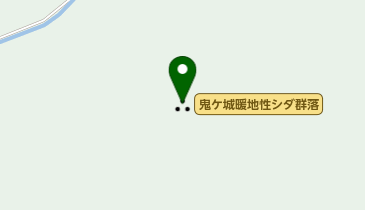 鬼ケ城暖地性シダ群落の地図画像