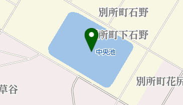中央池の地図画像