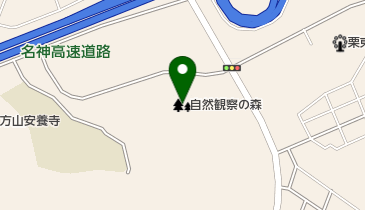 自然観察の森の地図画像