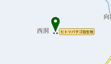 ヒトツバタゴ自生地の地図画像