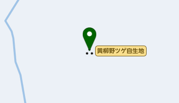 黄柳野ツゲ自生地の地図画像