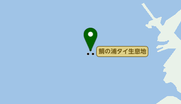 鯛の浦タイ生息地の地図画像