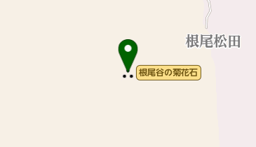 根尾谷の菊花石の地図画像