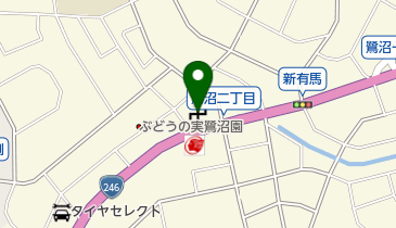 浄照寺の地図画像