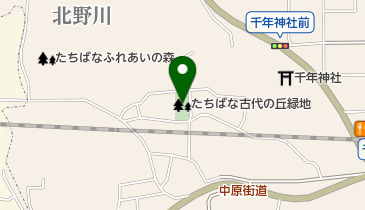 たちばな古代の丘緑地の地図画像