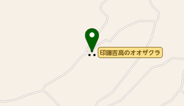 印旛吉高のオオザクラの地図画像