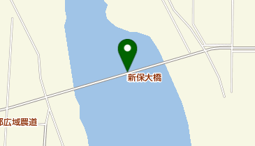 新保大橋の地図画像