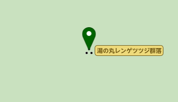 湯の丸レンゲツツジ群落の地図画像