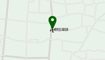 野田薬師の地図画像
