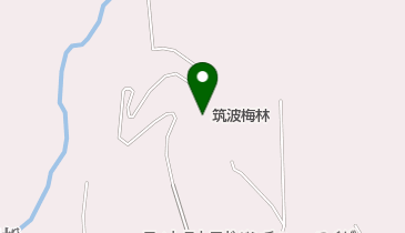 筑波梅林の地図画像