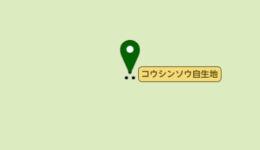 コウシンソウ自生地の地図画像