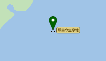 照島ウ生息地の地図画像