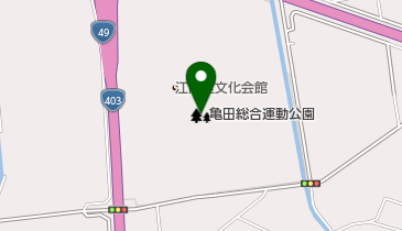 亀田総合運動公園の地図画像