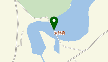 大針橋の地図画像