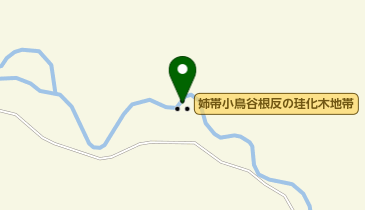 姉帯小鳥谷根反の珪化木地帯の地図画像