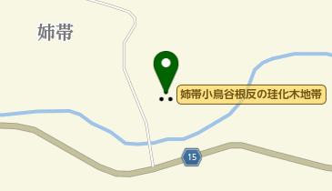 姉帯小鳥谷根反の珪化木地帯の地図画像